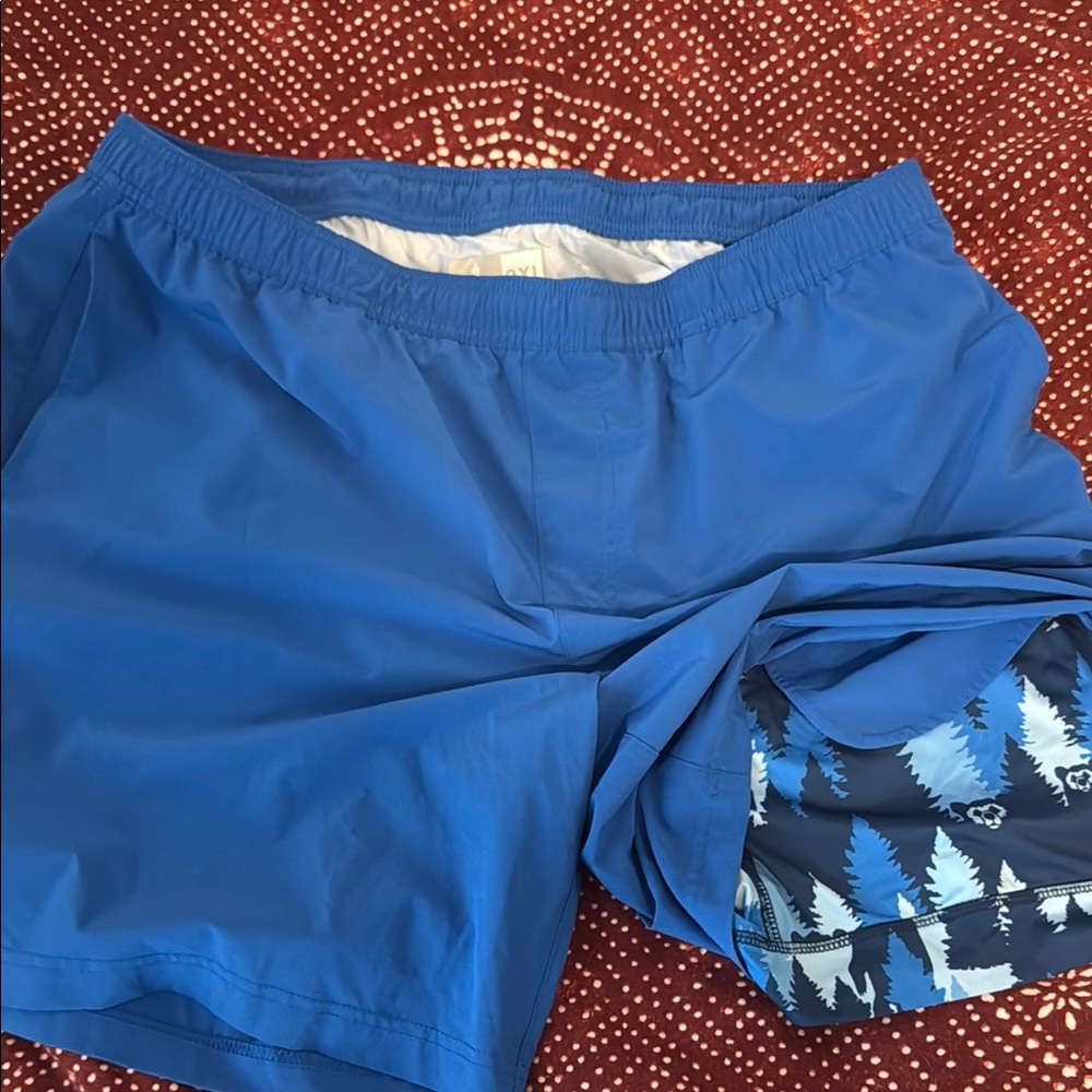 Chubbies Blue Athletic Shorts
